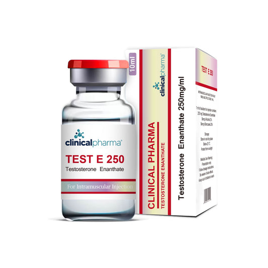 Testosteron Enanthate 250 mg/ml (CP)